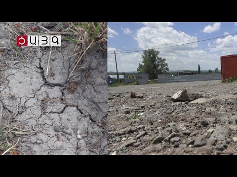 Գյուղացիները բողոքում են. 25 հազար ծառ ունեցող Փանիկին միայն մեկ անգամ է ոռոգման ջուր տրվում (տեսանյութ)