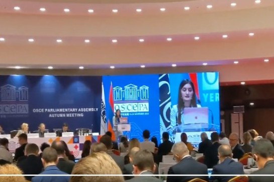 Երևանում ընթանում է ԵԱՀԿ ԽՎ նստաշրջանի 2-րդ նիստը