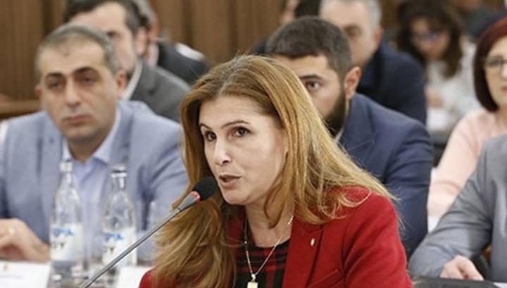 Չեմ հավատում, որ Տիգրան Ավինյանը չի իմացել, որ իր ավիատոմսը այդքան թանկ է գնվել. Իզաբելա Աբգարյան
