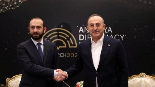 Տեղի կունենա Միրզոյան-Չավուշօղլու հանդիպում 