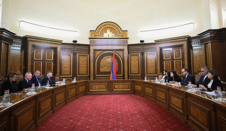 Փոխվարչապետն ու ԵԽ Մարդու իրավունքների հանձնակատարն անդրադարձել են Արցախի փախստականների իրավունքների պաշտպանությանը վերաբերող հարցերին
