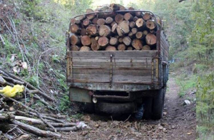 Թումանյանի ոստիկանները ապօրինի փայտանյութով բեռնատար են հայտնաբերել