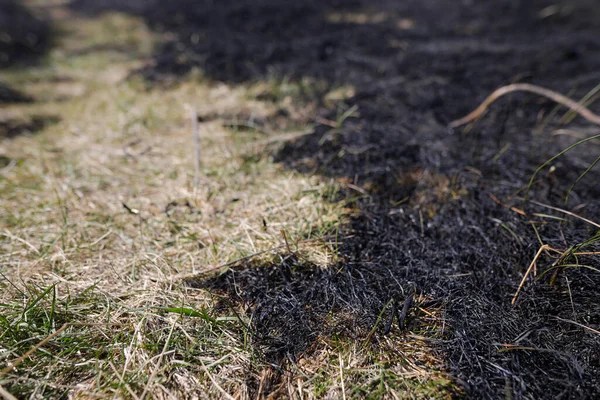 Չորաթան գյուղի «Վերին Շքեռլու» կոչվող հանդամասում այրվել են մոտ 13 հա խոտածածկույթ և մոտ 3 հա մացառուտ