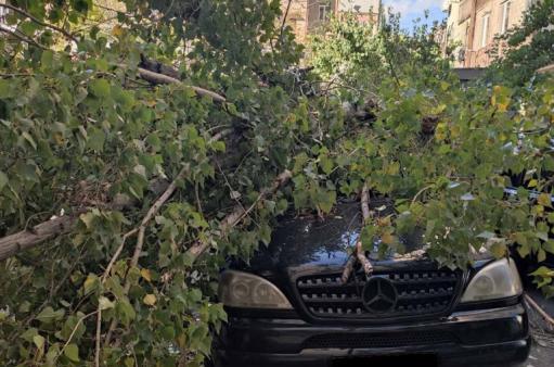 Երևանում քամու հետևանքով ծառը արմատախիլ է եղել և ընկել ավտոմեքենայի վրա