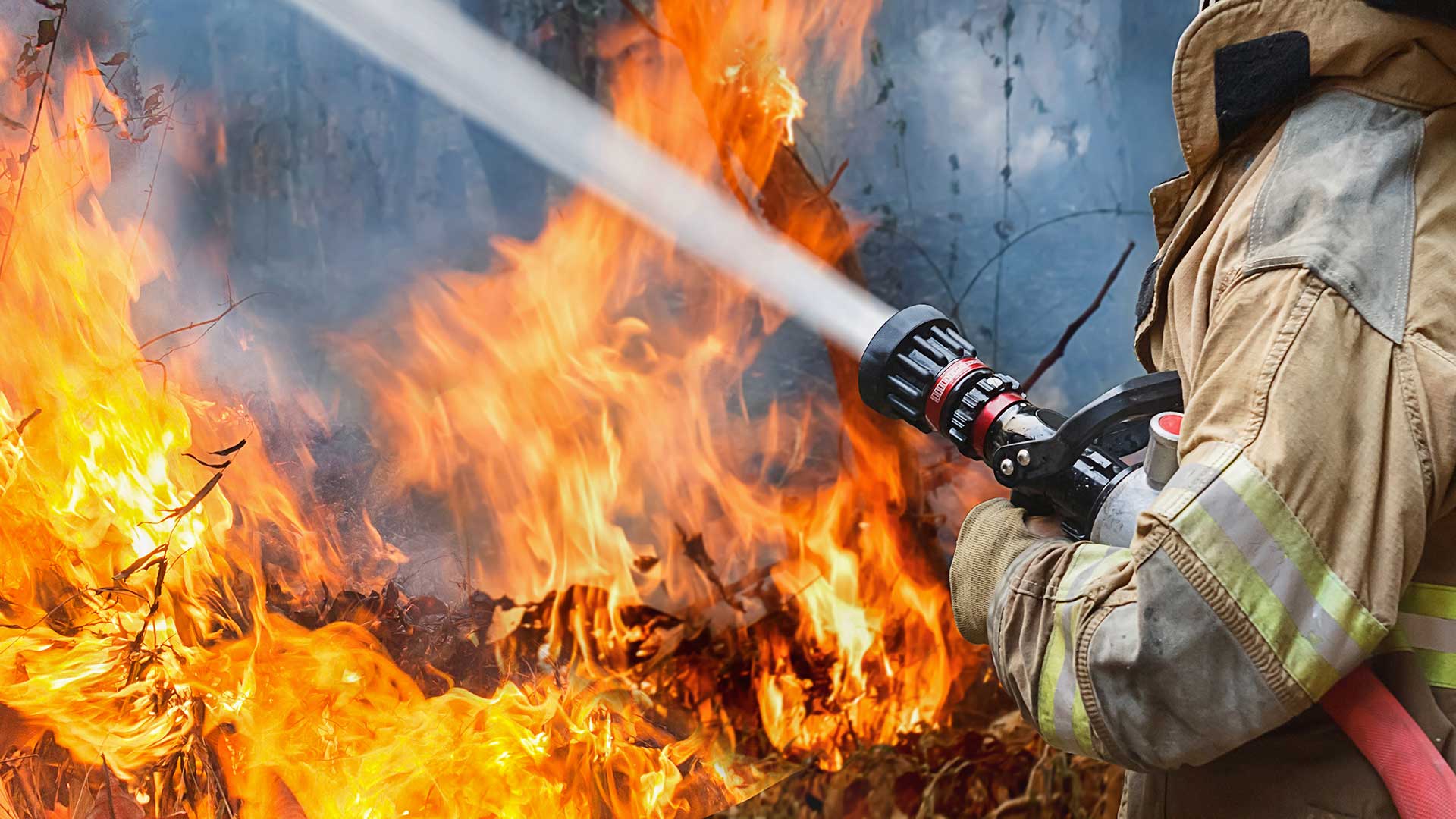 Աբովյանում այրվում է սնկի մշակման մոտ 3000 խմ կուտակված թափոն (տեսանյութ)