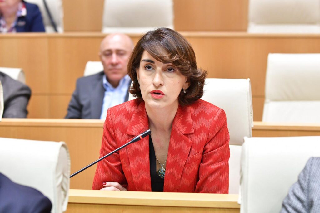 Հայաստանն ու Ադրբեջանը միշտ կարող են օգտագործել Վրաստանը որպես երկխոսության հարթակ. ԱԳ նախարար