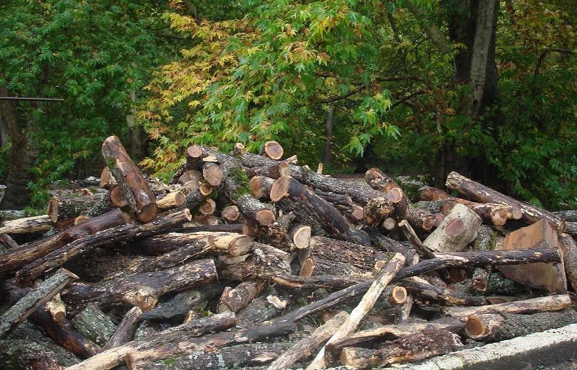 Անտառամերձ բնակավայրերի բնակիչներին կտրամադրվի թափուկ վառելափայտ․ բնակավայրերի ցանկը թարմացվել է