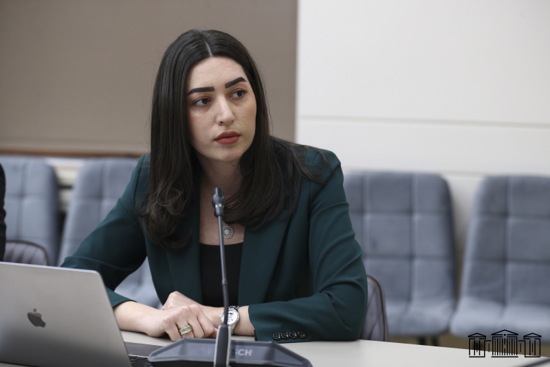 Վիզաների ազատականացումը դեպի ԵՄ երկրներ արտագաղթի չի հանգեցնի. Արփինե Սարգսյան