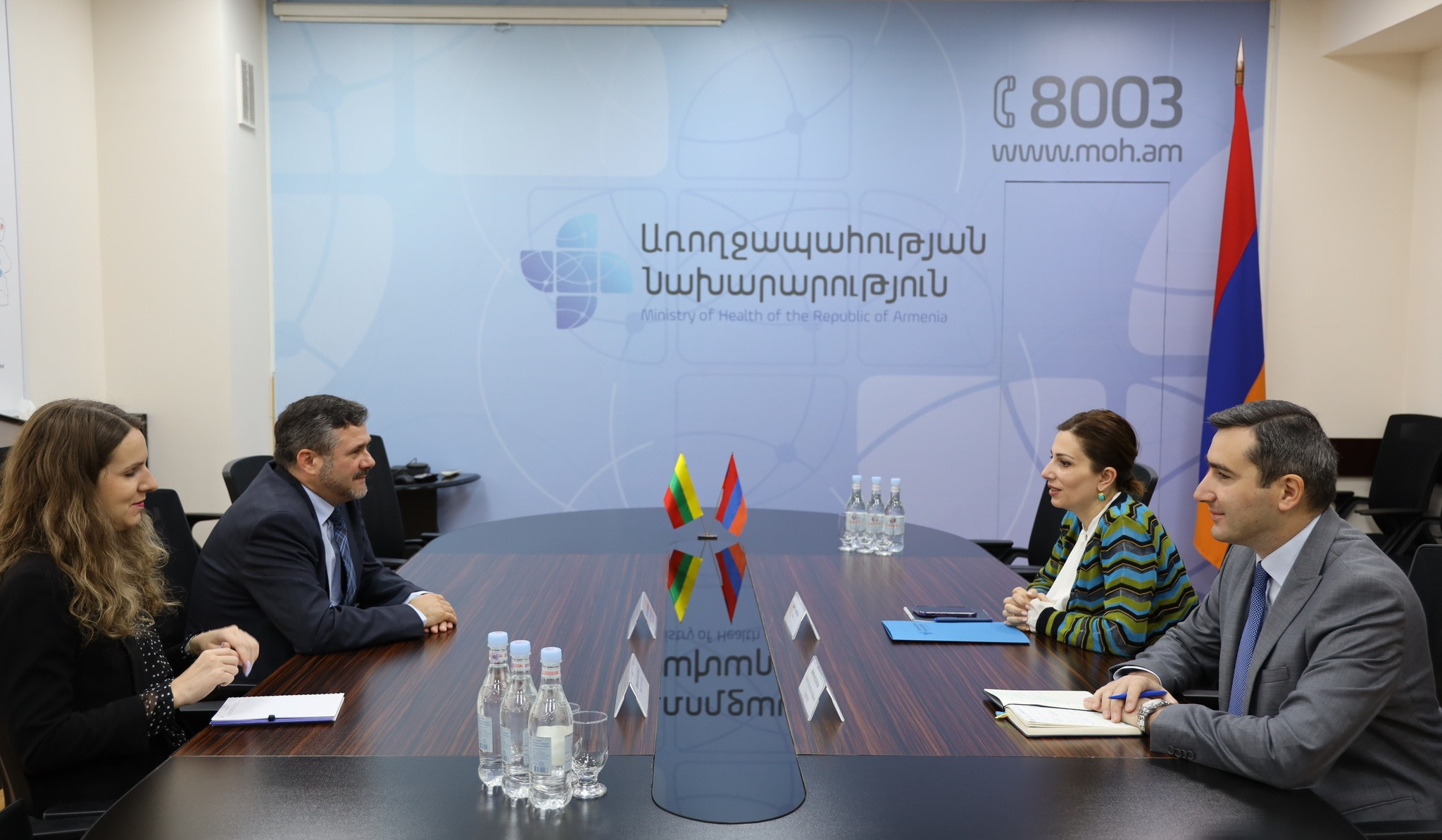 Անահիտ Ավանեսյանը լիտվական կողմին է ներկայացրել ԼՂ-ում ադրբեջանական ագրեսիայի և պայթյունի հետևանքով տուժածների բուժման ընթացքը