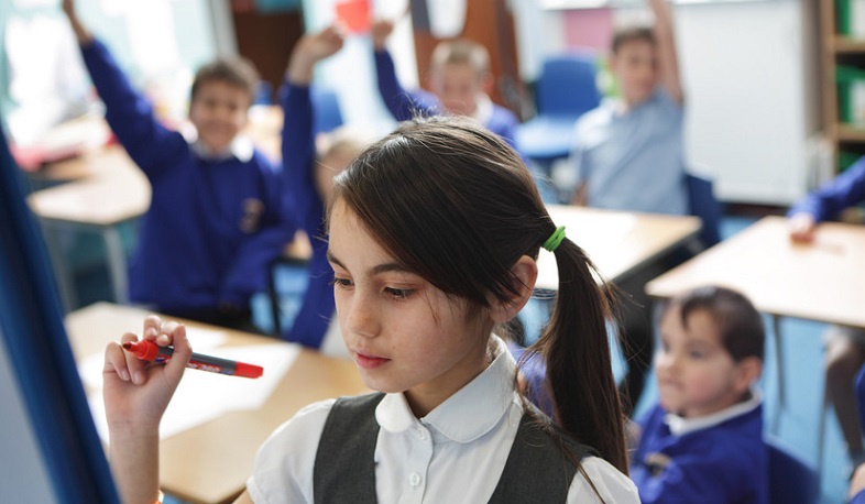 Եվրոպայի խորհուրդը ծրագրել է վրացի դպրոցականներին «ժողովրդավարական գործընթացներ» սովորեցնել. RT