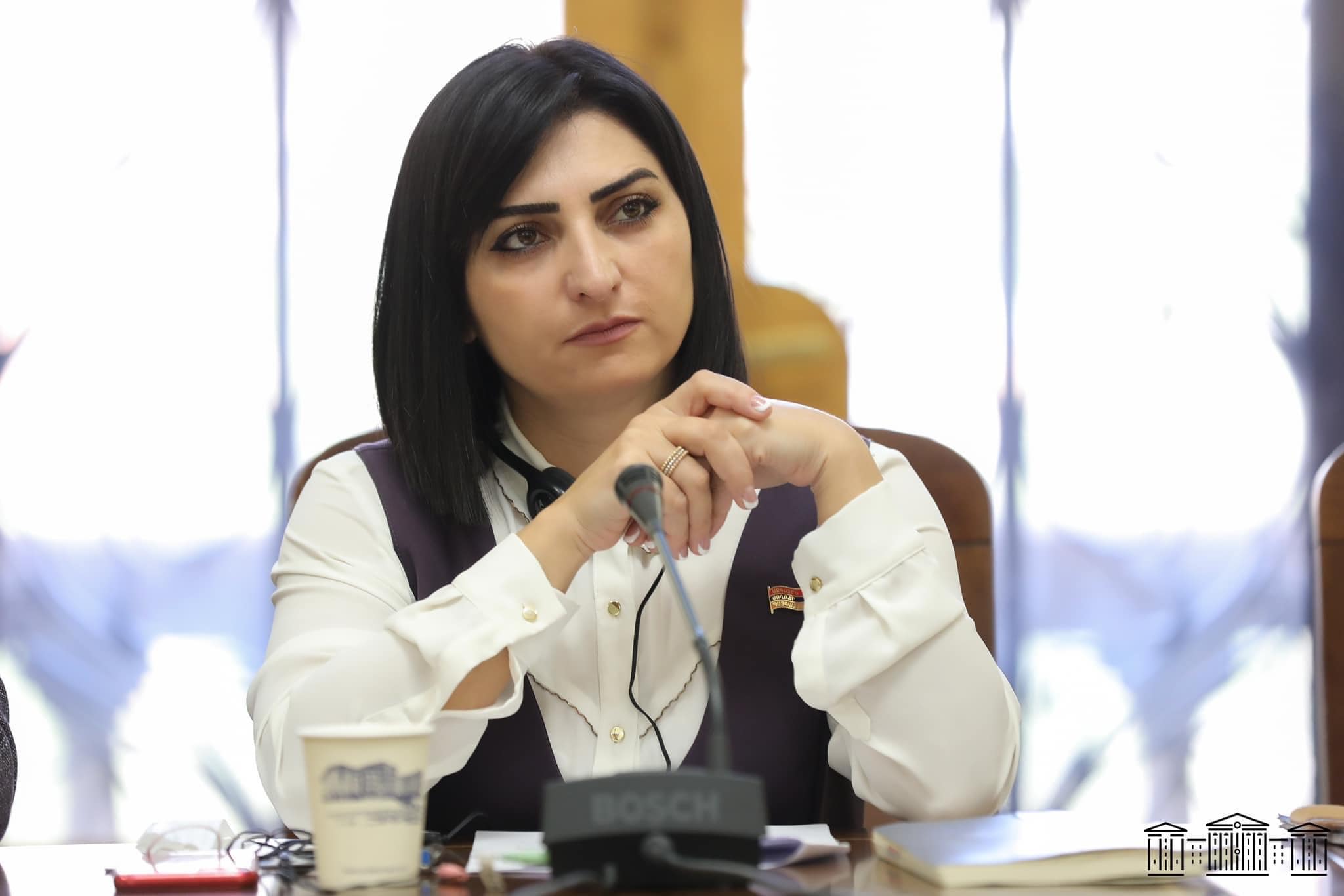 Պետական գնումների ընթացակարգի խախտումներ քաղաքապետարանում. Թովմասյանը դիմել է ՊՎԾ ղեկավարին
