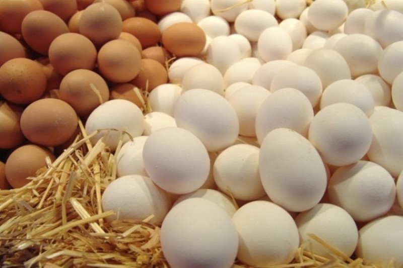 Азербайджан к 11 января поставил в РФ 1,5 млн штук яиц
