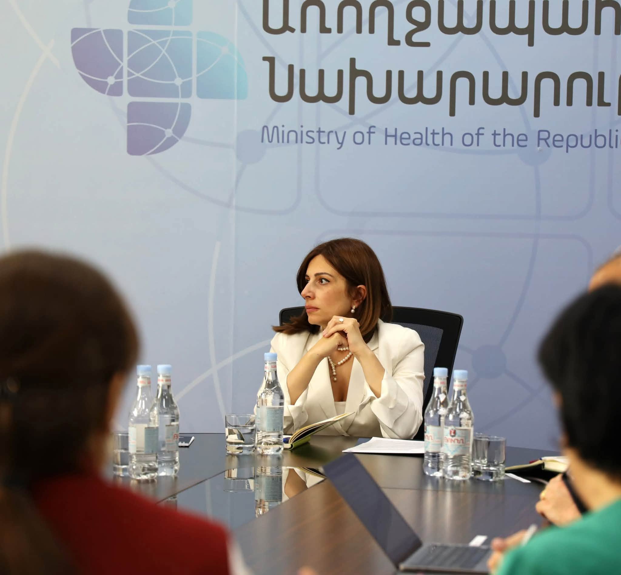 Անահիտ Ավանեսյանը հանդիպել է Հայկական բժշկական ասոցիացիայի ներկայացուցիչների հետ