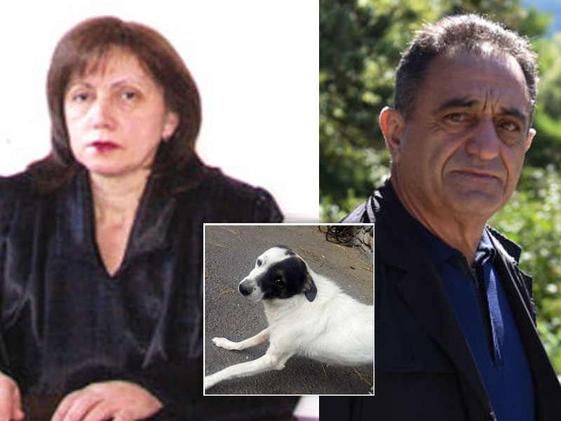 Դատավորն արդարացրել է մայր շանը սպանած «Դիլիջան» ազգային պարկի նախկին տնօրեն Սուրեն Աղաջանյանին