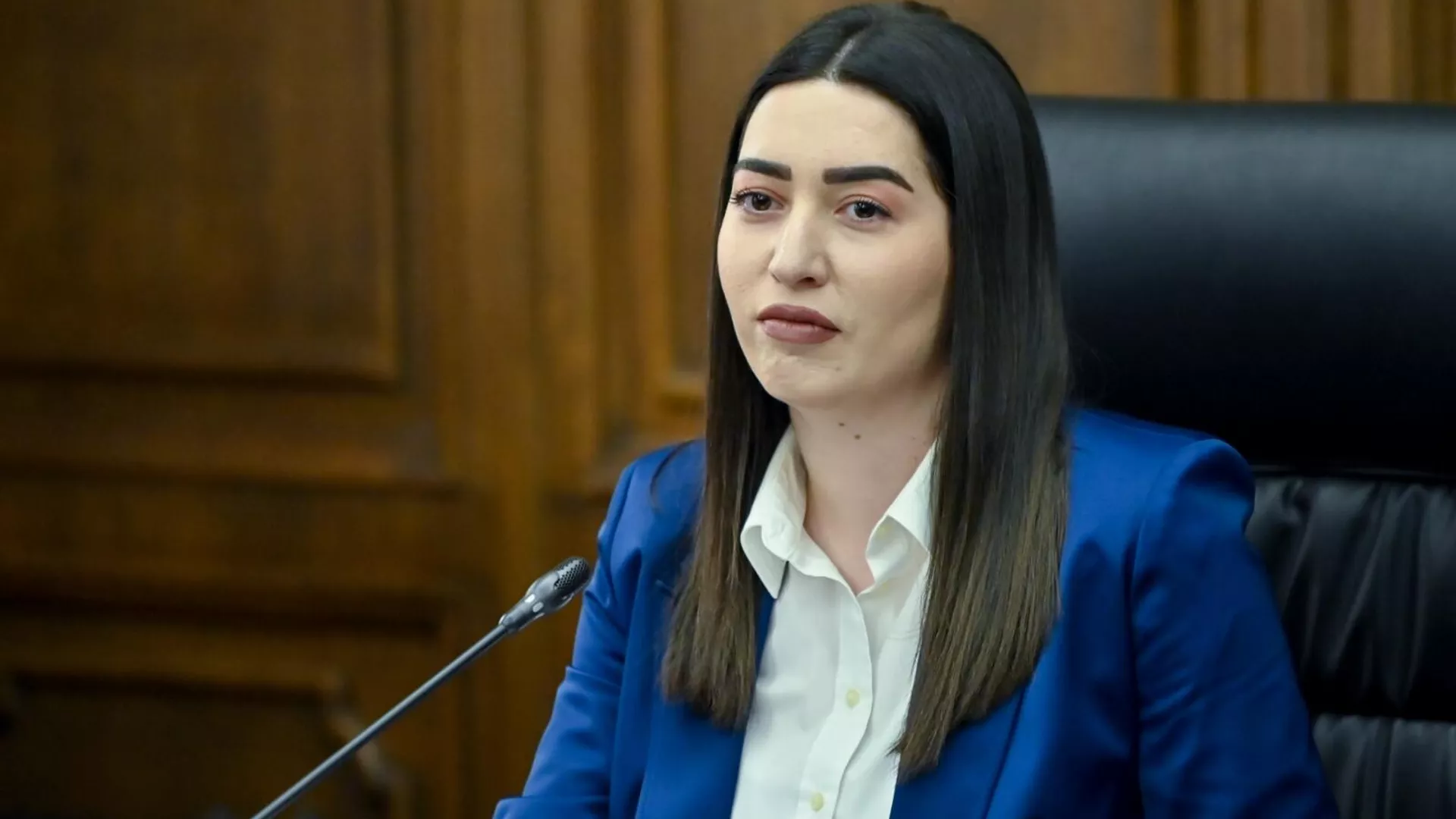 Անձը կարող է իր հանգիստն անցկացնել. ՆԳ նախարարը` Երևանում ադրբեջաներեն երգողների մասին