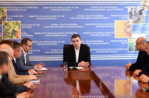 Արցախի պետնախարարը գյուղոլորտում առաջացած մարտահրավերները հաղթահարելու հույս է հայտնել