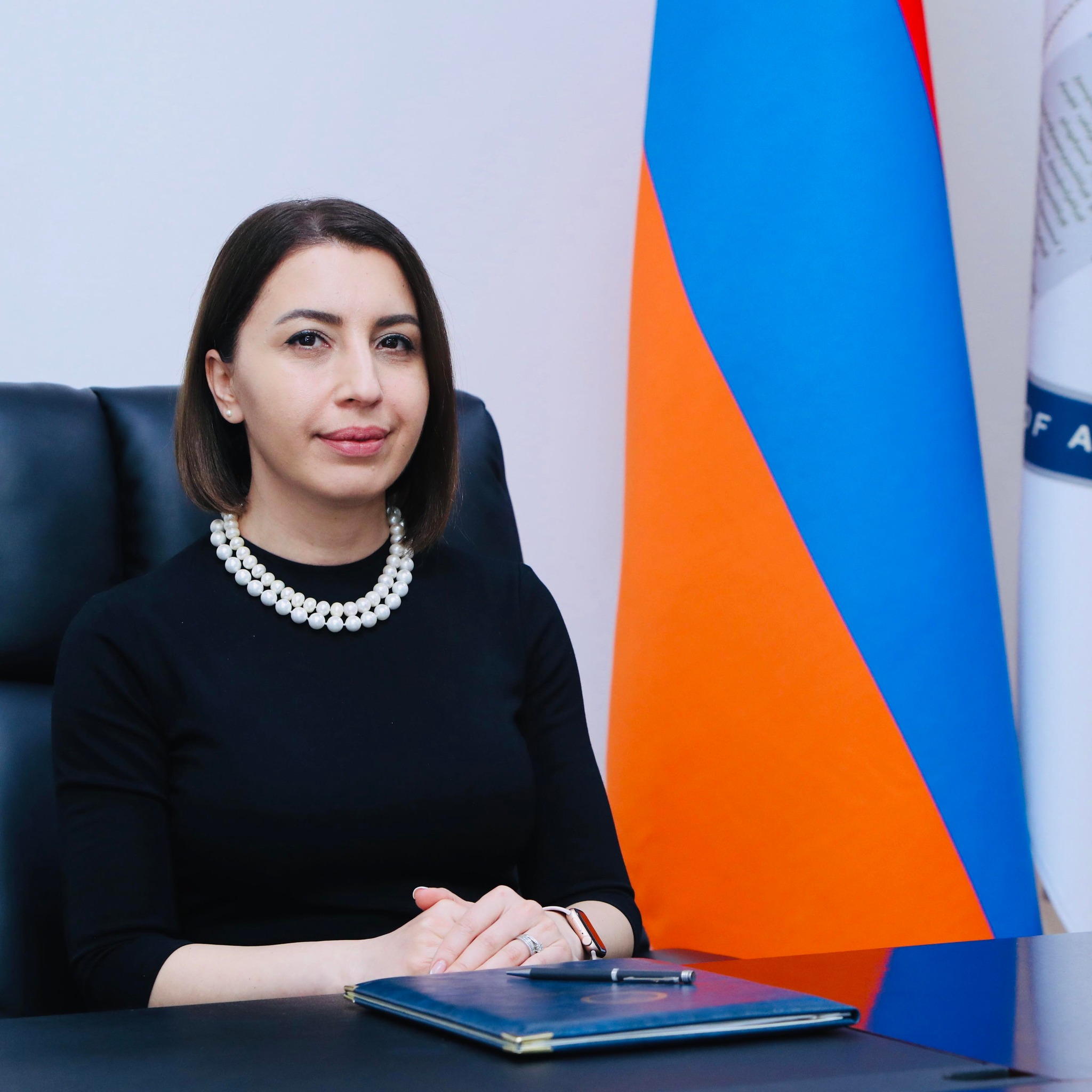 ՄԻՊ-ը շարունակում է միջազգային կազմակերպություններին ներկայացնել ճգնաժամի փաստերն ու ադրբեջանական հայատյացության քաղաքականության այլ ապացույցները. Պաշտպանի ուղերձը