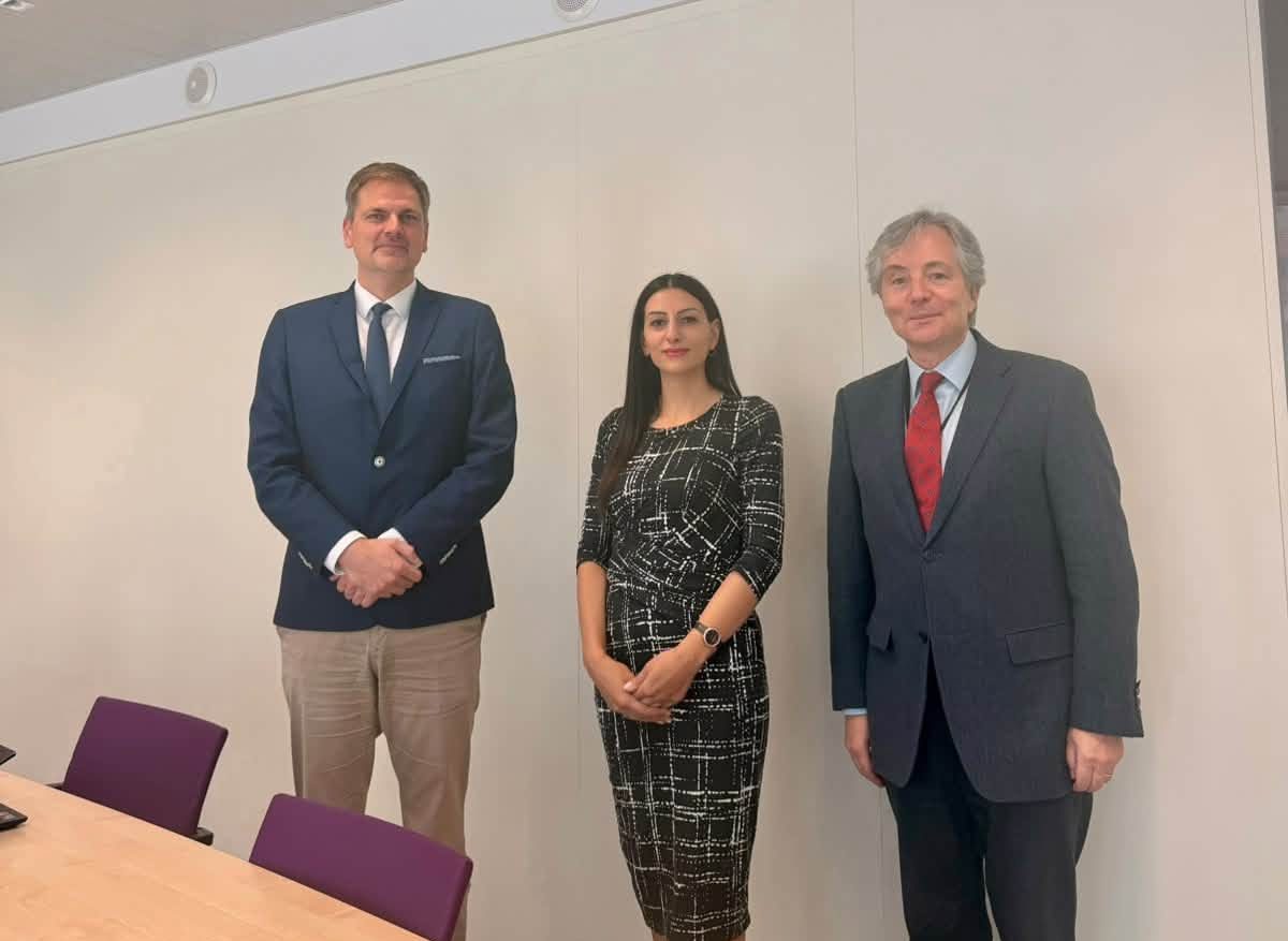 Անահիտ Մանասյանը հանդիպել է Բելգիայի դաշնային օմբուդսմանների հետ