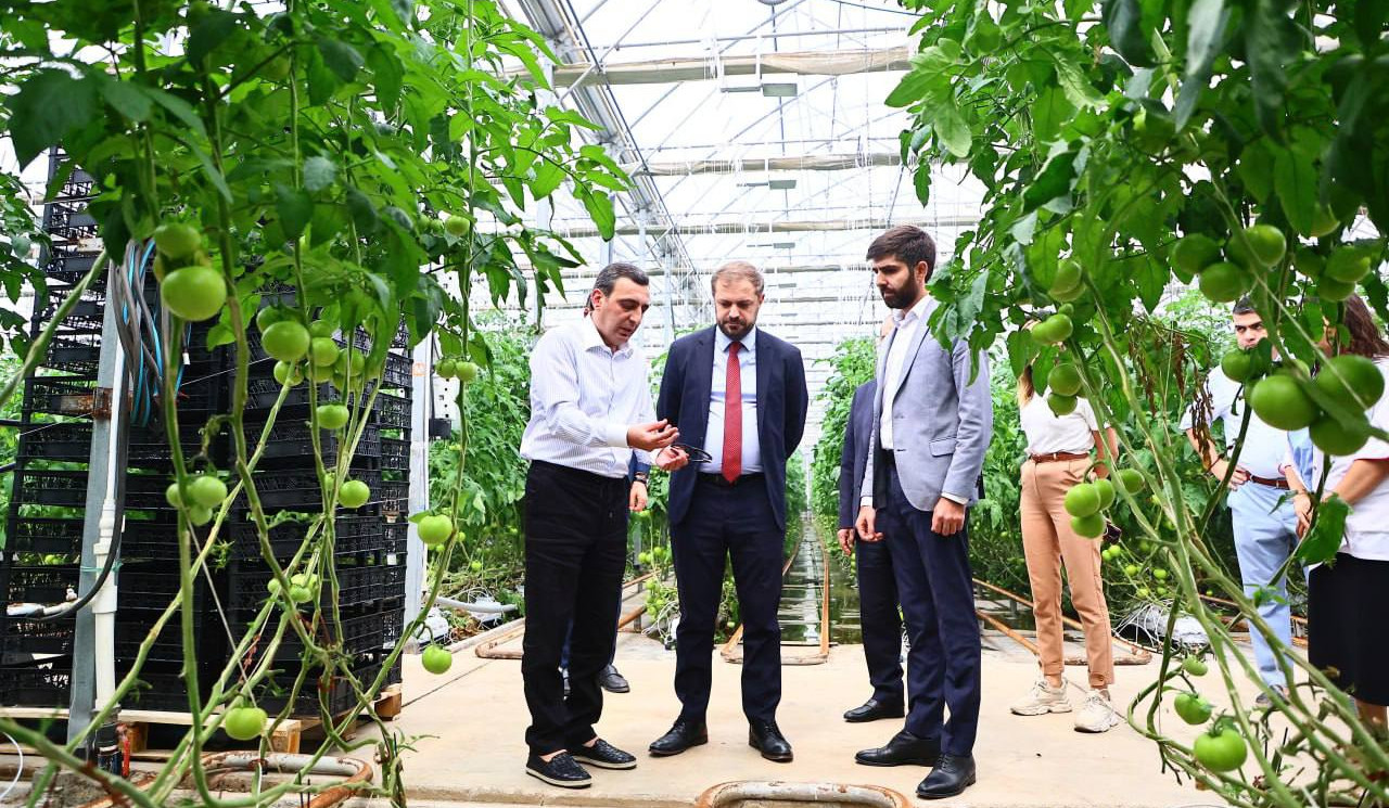 Պապոյանը Նորագավիթում գործող ջերմոցային համալիրում ծանոթացել է ժամանակակից տեխնոլոգիաներով հագեցած գործընթացներին