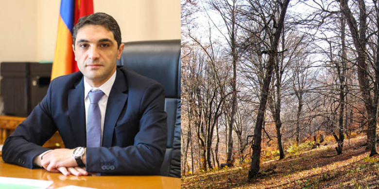 Անտառներն էլ պարեկներ կունենան․ «Փաստ»