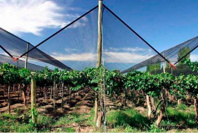 «Հայաստանի Հանրապետություն» օրաթերթ. Նոր տեխնոլոգիաները կայուն քայլերով մտնում են գյուղոլորտ