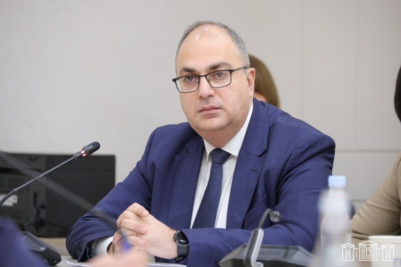 Վլադիմիր Վարդանյանը կարևորում է դիվանագետների վարձատրության բարձրացումը