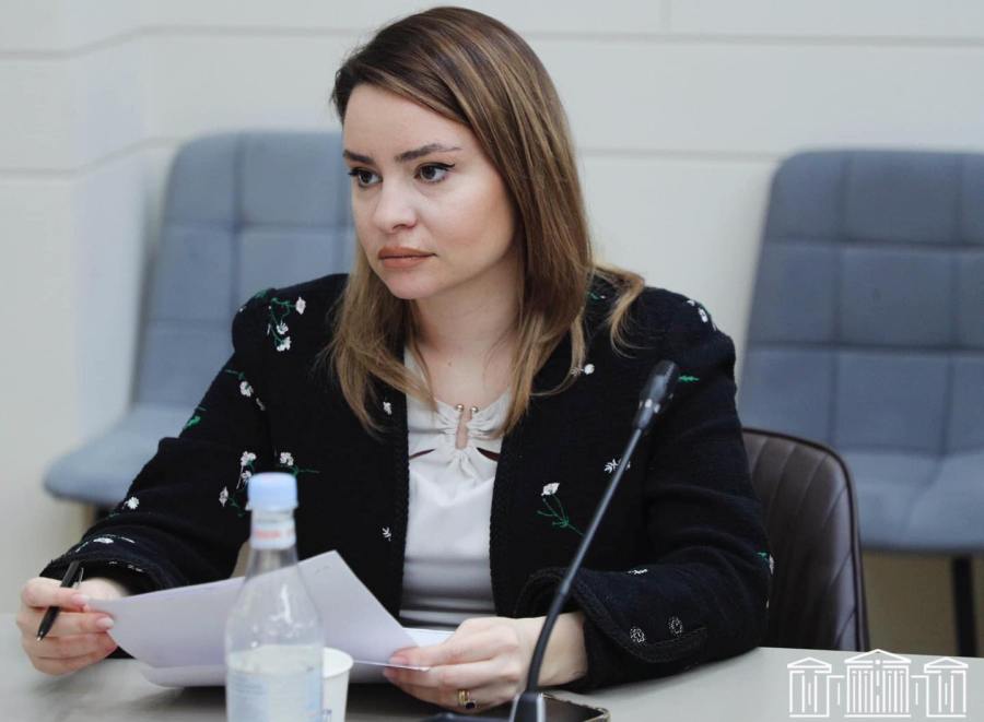 Սոնա Ղազարյանը՝ Ծառուկյանի դստեր անձնական կյանքի մանրամասների հրապարակման մասին