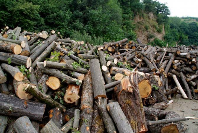 Լոռու մարզում անտառների պահպանության համար պատասխանատու 18 պաշտոնատար անձի մեղադրանքներ են առաջադրվել