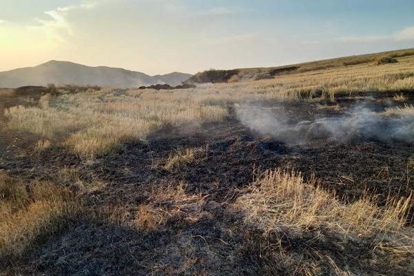 Մովսես գյուղում այրվել են մոտ 6 հա խոտածածկույթ և մոտ 2000 քմ հնձած արտ