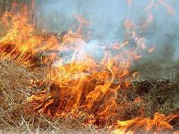 Վերիշեն գյուղում այրվել է անասնակեր