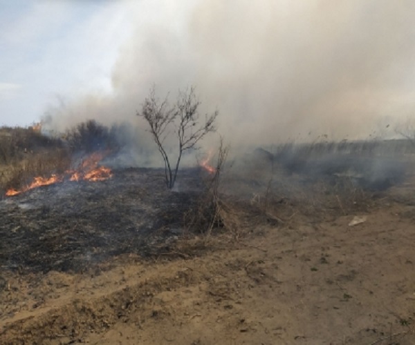 Բուրաստան գյուղի մոտակայքում այրվել են մոտ 9 հա խոտածածկույթ և եղեգնուտ