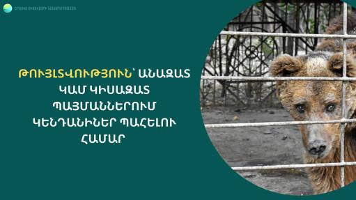 Ապրիլի 1-ից անազատ կամ կիսազատ պայմաններում վայրի կենդանիներ պահելու համար կպահանջվի թույլտվություն