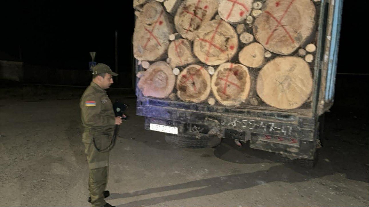 2025-ին ապօրինի հատվել է 11852 ծառ. Տեսչական մարմին
