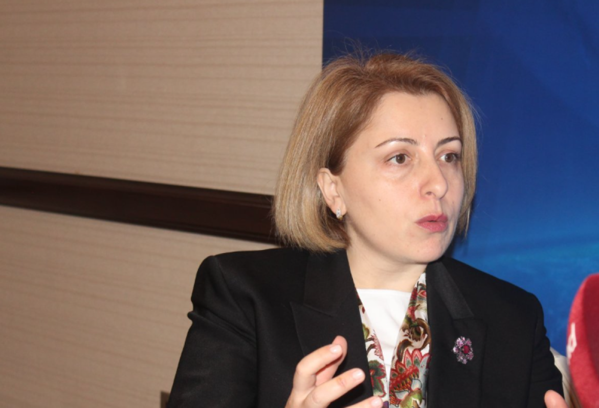 TRIPP-ը կամրապնդի տարածաշրջանային խաղաղությունը. Վրաստանի նախկին փոխվարչապետ