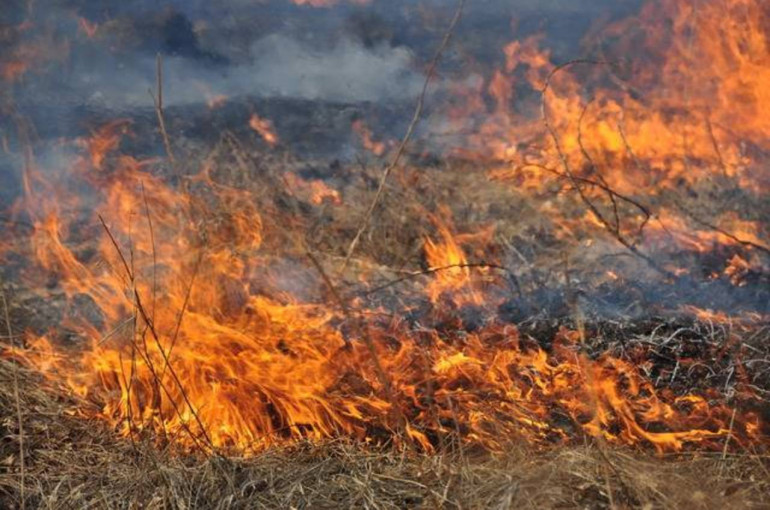 Այնթապ գյուղում այրվել է մոտ 10 հա հնձած ցորենի արտ