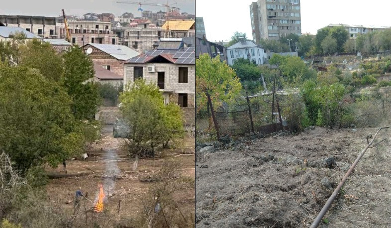 Նոր Նորքում Վիտալի Բալասանյանի կողմից այգին վնասելու համար կիրառվել են պատասխանատվության միջոցներ. ԲԸՏՄ