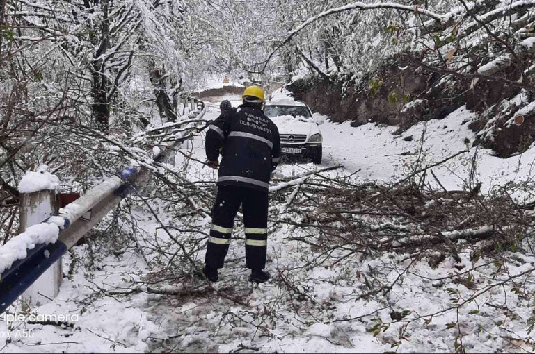 Հաղարծին տանող ճանապարհը պոկված ծառերի պատճառով արգելափակվել է