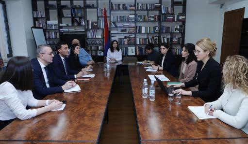 ԿԳՄՍ փոխնախարարը ԵԽ մարդու իրավունքների պաշտպանության ոլորտի փորձագետների հետ քննարկել է բռնի տեղահանվածների խնդիրները