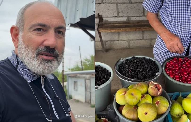 Վարչապետը «Ֆեստիվառ»-ի այցելուներին հրավիրել է Վազաշեն՝ համեղ թուզ համտեսելու և գնելու (տեսանյութ)