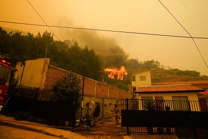 Число погибших в результате лесных пожаров в Чили достигло 46