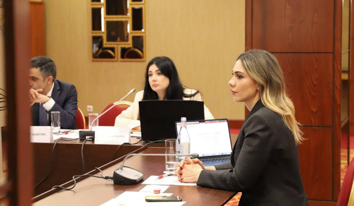 ՀԸԳՀ ճանապարհային քարտեզի նորացման հանձնառությունները համակարգող աշխատանքային խմբի նիստին ներկայացվել է նոր նախագիծ