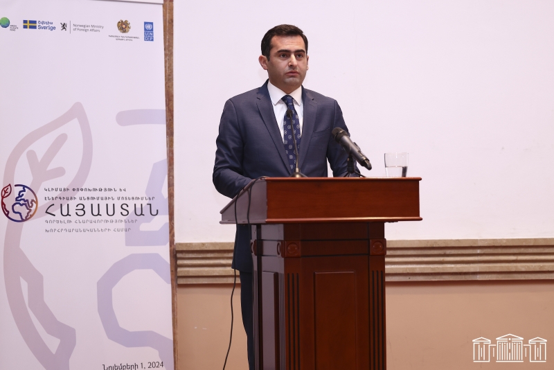 Պետք է միասին աշխատենք ՀՀ-ի համար կայուն էներգետիկ ապագա կառուցելու համար. Արշակյան