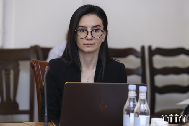 Հովիկ Աբրահամյանի մասով ունենք առանձին քրեական վարույթ, Նալբանդյանի մասով ևս քրեական վարույթ է քննվում. Վարդապետյան