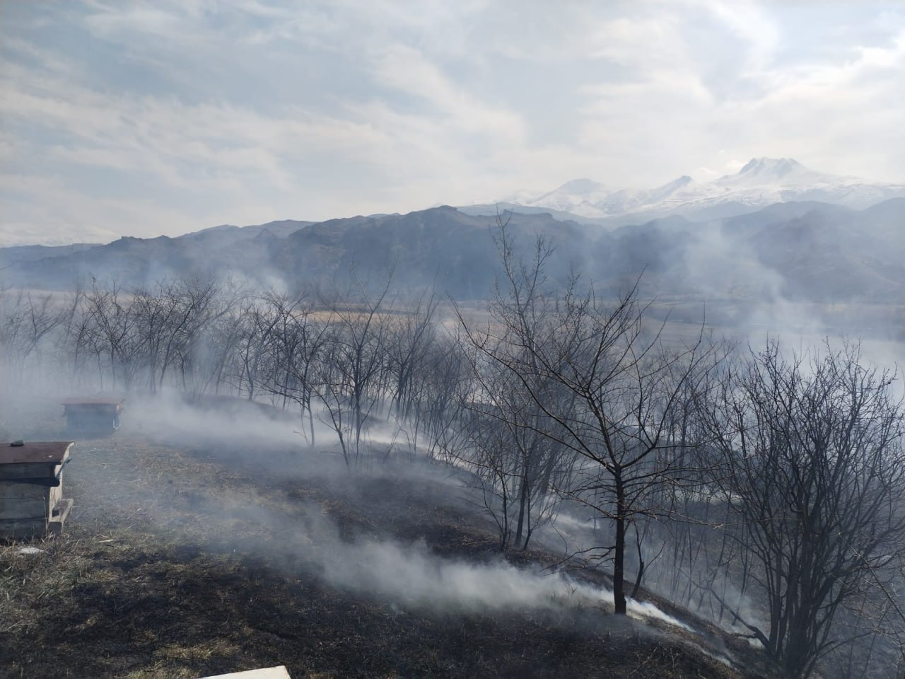 Մալիշկա գյուղում այրվել է մոտ 8000 քմ խոտածածկույթ և 2 մեղվի փեթակ՝ մասամբ