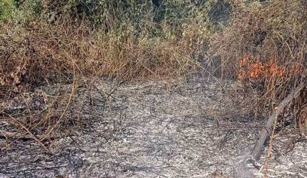 Հայկաձոր գյուղում այրվել է մոտ 10․5 հա խոտածածկույթ