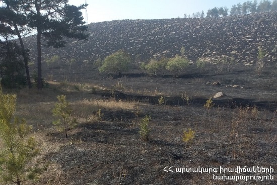 Վարդենիկ գյուղում այրվել է մոտ 40 հա խոտածածկույթ