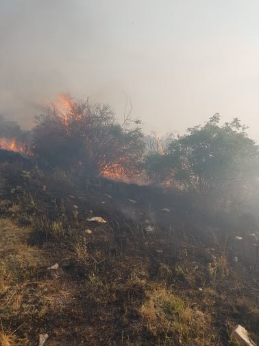 Կարենիս գյուղում այրվել է մոտ 10 հա խոտածածկույթ