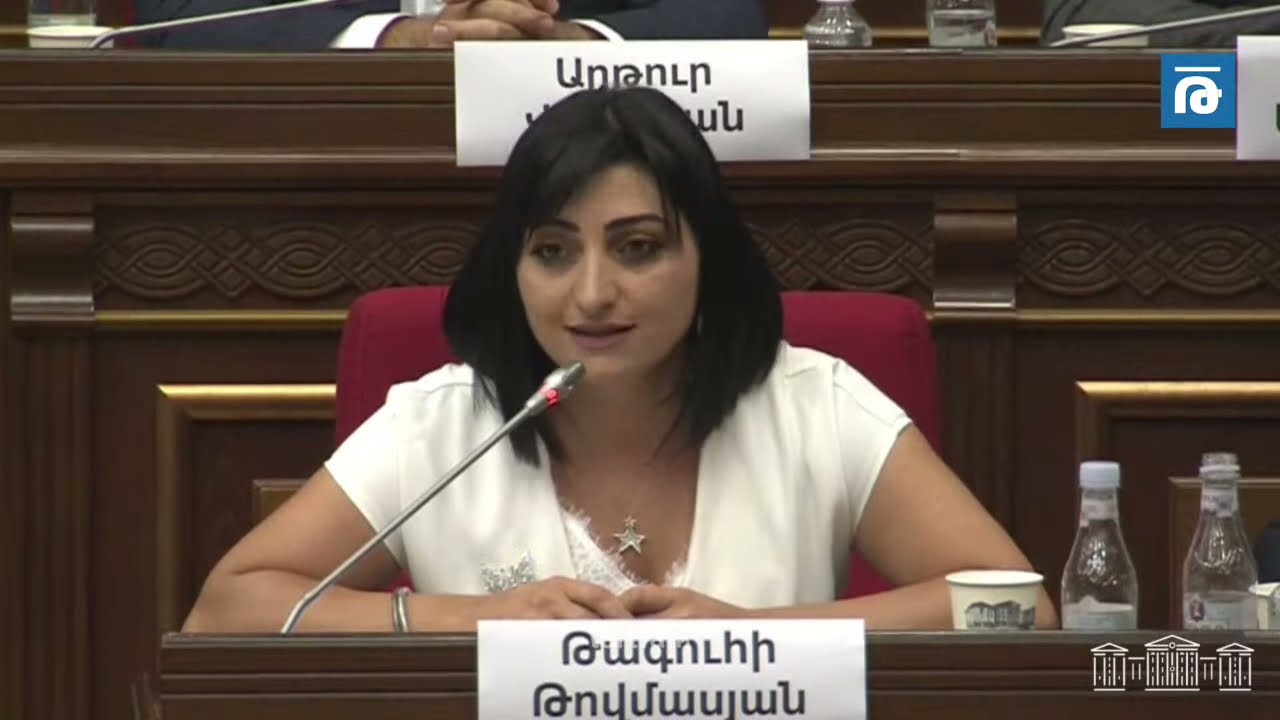 Ավելի լավ կլիներ՝ անվտանգությունը պահպանվեր մեր երկրի դարպասների մոտ․ Թովմասյանը՝ ԱԺ-ում լրագրողների տեղաշարժի սահմանափակման վերաբերյալ