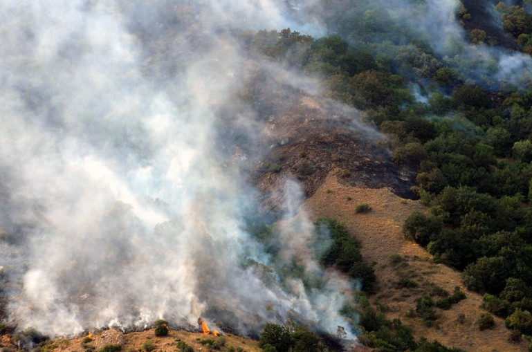 Հրդեհ՝ «Խոսրովի անտառ» պետական արգելոցում․ այրվում են մոտ 7000 քմ խոտածածկույթ, տորֆաշերտ և գիհու ծառեր