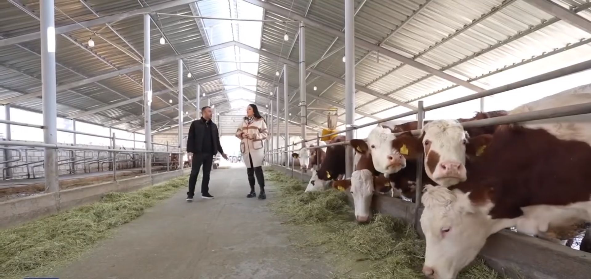 Գյուղաջակցության պետական ծրագրերով ֆերմերները փոխում են ավանդական անասնապահության մասին իրենց պատկերացումները (տեսանյութ)
